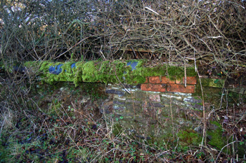 The remains of a wall in Bryants Lane January 2009